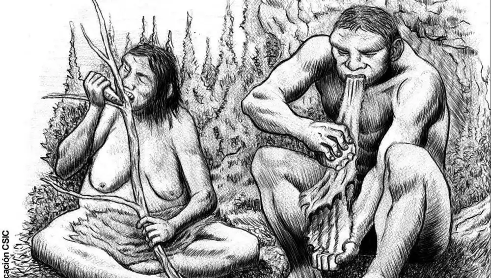 ¿Eran endogámicos los neardentales?
