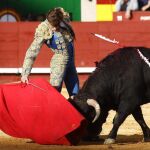 El novillero Román, en imagen de archivo