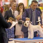 La feria es el escaparate más completo de productos y servicios para animales de compañía