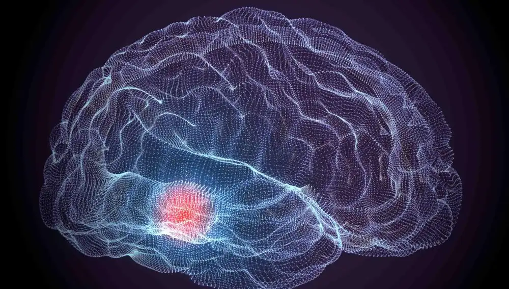 Las neuronas son las unidades funcionales básicas del sistema nervioso y generan señales eléctricas que les permiten transmitir información