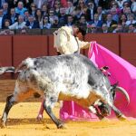  Obra magna en dos tercios