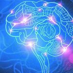 Conocer las técnicas de la Neurociencia contribuye a realizar una venta con éxito