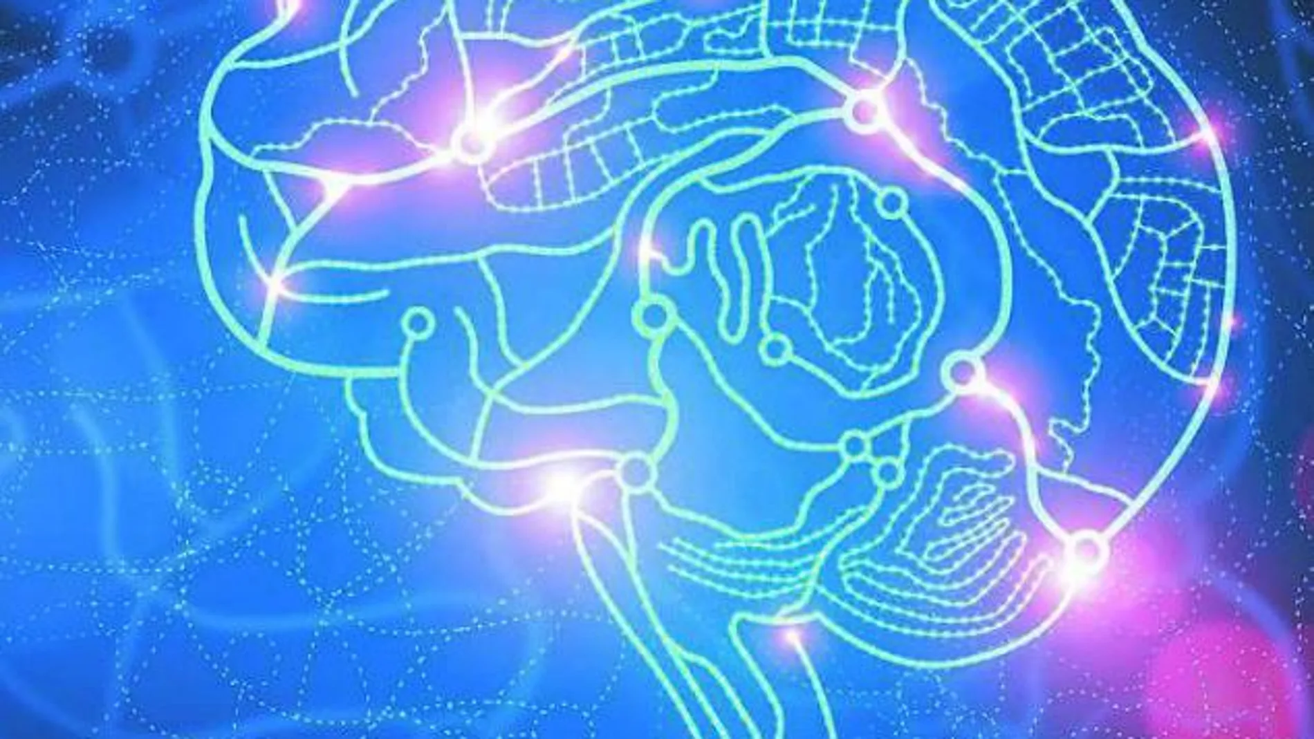 Conocer las técnicas de la Neurociencia contribuye a realizar una venta con éxito