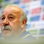 El seleccionador español Vicente del Bosque