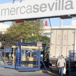 El Ayuntamiento ha de comunicar a Sando, su mayor acreedor, la decisión