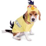 Carnaval de mascotas