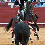 El caballo "Califa", en el último tercio