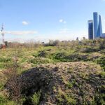 Los terrenos afectados por este nuevo plan urbanístico, que empezó a planearse hace más de veinte años, aún no se han movido