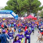 Punto de salida, en la madrileña Plaza de Colón, de la carrera solidaria de Perrotón celebrada el año pasado
