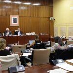 Un momento de la comisión parlamentaria en la que intervino el consejero de Empleo, Empresa y Comercio