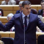 El presidente del Gobierno, Pedro Sánchez, interviene durante la sesión de control del Gobierno que tiene lugar esta tarde en el Senado. EFE/Kiko Huesca