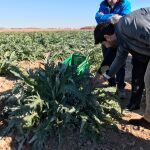 El presidente de la Comunidad, Fernando López Miras, comprobó personalmente en su visita a una finca de Fuente Álamo, los daños que las bajas temperaturas han ocasionado a las hortalizas. LA RAZÓN