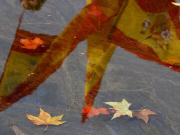 La Justicia termina con a&ntilde;os de desobediencia en Erandio (PNV) y la bandera espa&ntilde;ola volver&aacute; a ondear