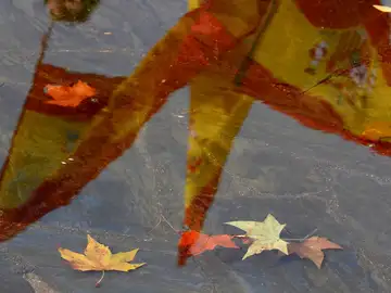 La Justicia termina con años de desobediencia en Erandio (PNV) y la bandera española volverá a ondear La Justicia termina con años de desobediencia en Erandio (PNV) y la bandera española volverá a ondear