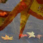 La Justicia termina con a&ntilde;os de desobediencia en Erandio (PNV) y la bandera espa&ntilde;ola volver&aacute; a ondear