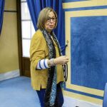 La consejera de Educación, Adelaila de la Calle, en sede parlamentaria