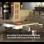 Crean ovarios fértiles impresos en tres dimensiones