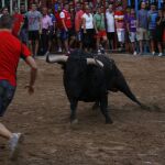 Durante este año se habrán celebrado más de 8.500 espectáculos de este tipo en la Comunidad Valenciana