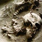 El estudio apunta que hubo dos olas migratorias hace 14.000 y 11.000 años