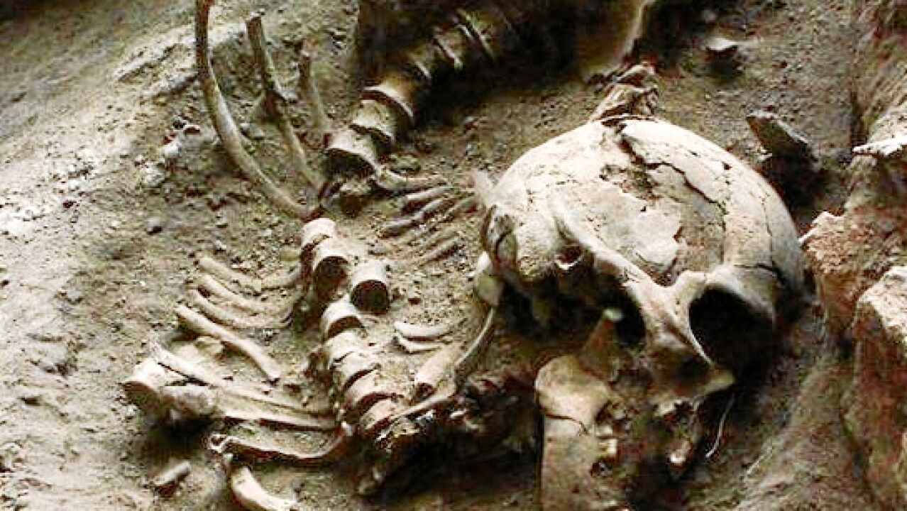 El ADN de la momia que pudo cambiar la historia