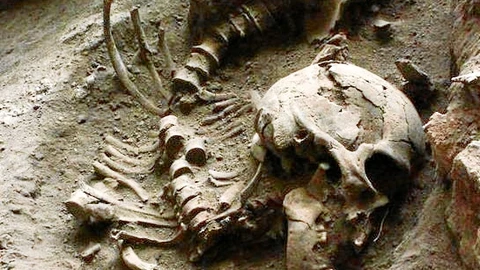 El ADN de la momia que pudo cambiar la historia