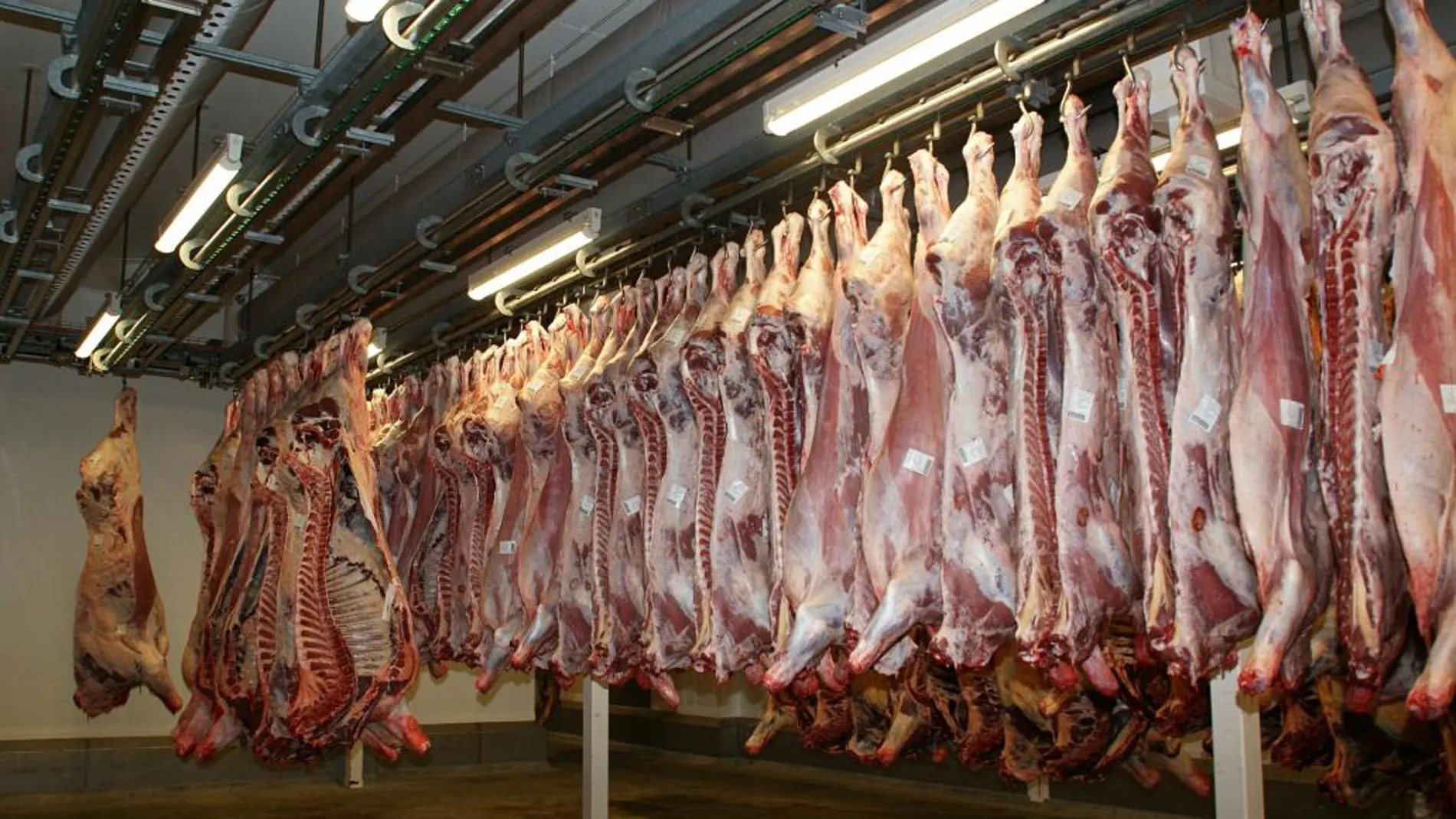 Foto de archivo de un matadero