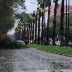 Árboles, ramas de grandes dimensiones y el desprendimiento de piedras provocaron el corte de las carreteras