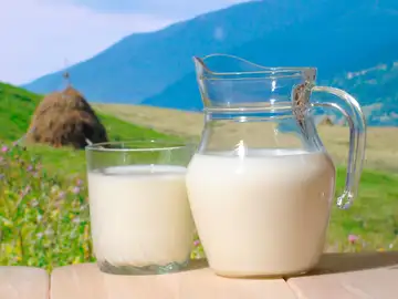 Leche fresca Leche fresca