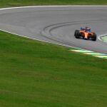 Fernando Alonso en el Gran Premio de Brasil / EFE