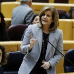 La ministra de Empleo, Fátima Báñez, durante su intervención en la sesión de control al Gobierno.