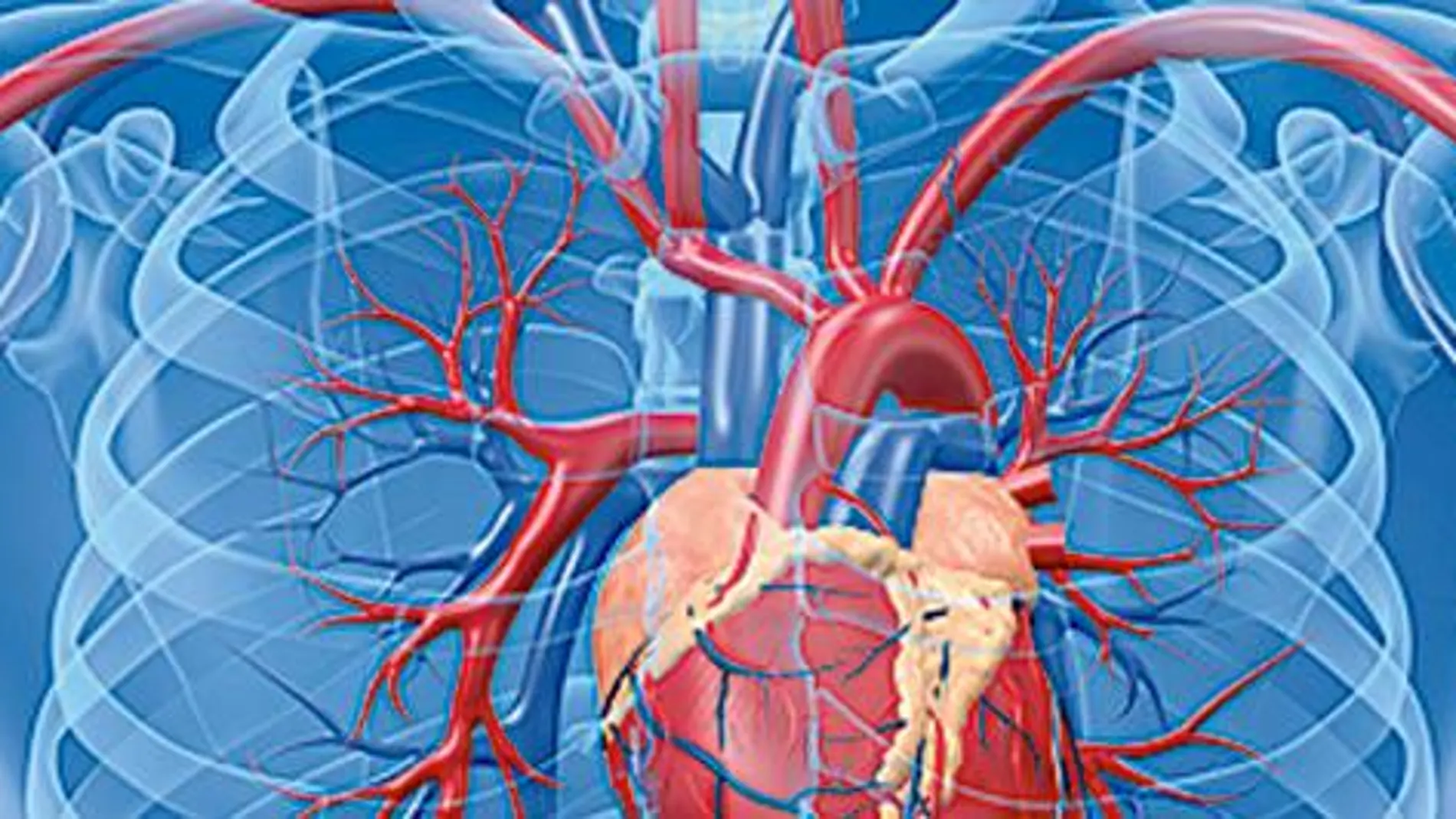 Un tercio menos de muertes por insuficiencia cardiaca