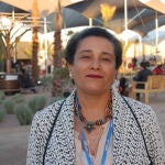 Jamila Bargach, que ha asistido a la Cumbre del Clima de Marrakech, conoce bien el problema al que se enfrentan las mujeres bereberes del sur de Marruecos para recoger agua. Junto a la investigadora canaria María Victoria Marzol ha instalado un sistema de mallas para capturar agua de la niebla. / SINC