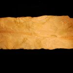 El fósil es un pez de 12 pulgadas de largo incrustado en una losa de piedra caliza del periodo Cretácico en el Líbano / Phys.org