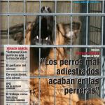 El número dos de Ladridos denuncia la falta de educación en los perros