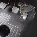 Una vecina de Alcorcón encuentra una serpiente en su coche