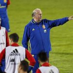 El seleccionador de fútbol, Vicente del Bosque