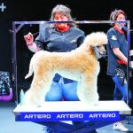 La feria Iberzoo+Propet ofrece productos de belleza y acicalamiento canino