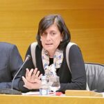 Marisa Gracia se dirige a los diputados durante la sesión de la comisión de investigación celebrada en 2016 y por cuyo dictamen reclama ahora mas de 260.000 euros