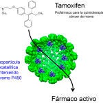 Nanopartícula biocatalítica que contiene citocromo