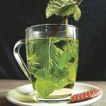 ¿Por qué tengo que comer té verde?