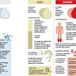 Fluidos corporales: Un «oráculo» que desvela nuestro estado de salud