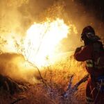 Efectivos de la UME, en labores de extinción de incendios en Cebreros (Ávila)