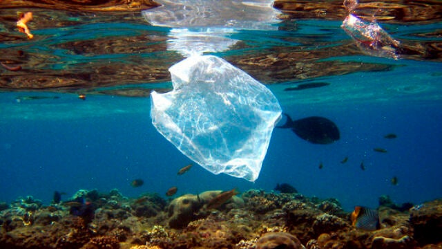 Peces y bolsas de plástico comparten espacio en el arrecife de coral que rodea el complejo turístico ‘Naama Bay’, en el mar Rojo, Egipto