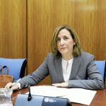 La interventora adjunta del área de Control y Fondos Europeos, María Teresa Arrieta, ayer en la Cámara