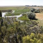 Doñana, en una imagen de archivo