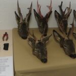 Los cazadores portaban siete cabezas de corzo / Foto: Policía Nacional