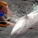 Un niño con autismo, en una terapia con delfines