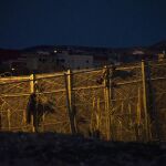 Intento de entrada en la valla de Melilla el pasado 18 de febrero