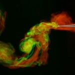 El ala más eficaz y el rastro que deja al volar, según estos investigadores / NYU’s Courant Institute of Mathematical Sciences