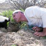 Frank Cuesta con una mofeta de la que dijo que solo atacan cuando te «ven más elevado que ellas»